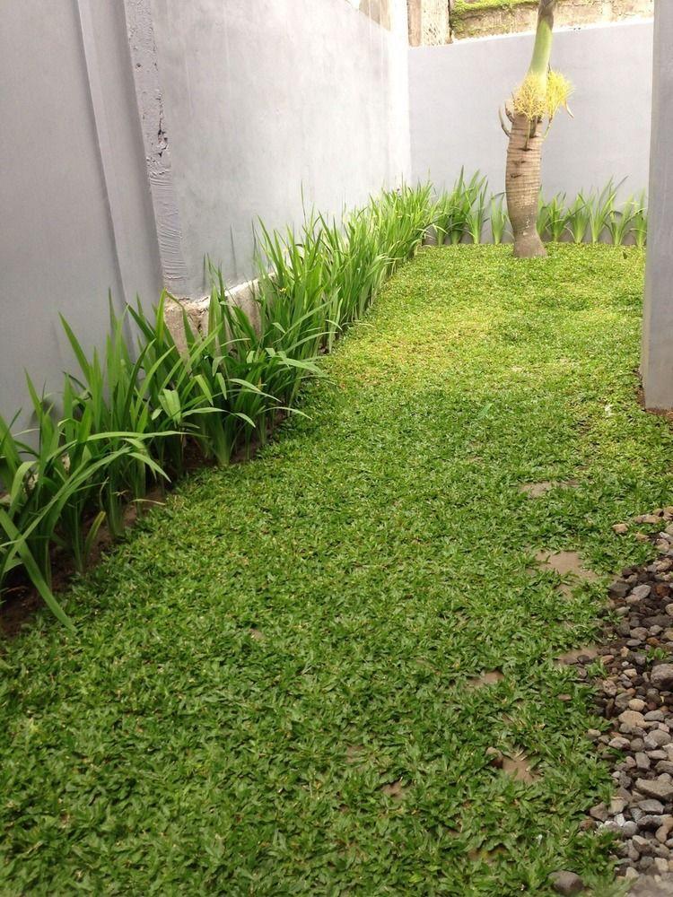 Safa Homestay Yogyakarta Exteriör bild